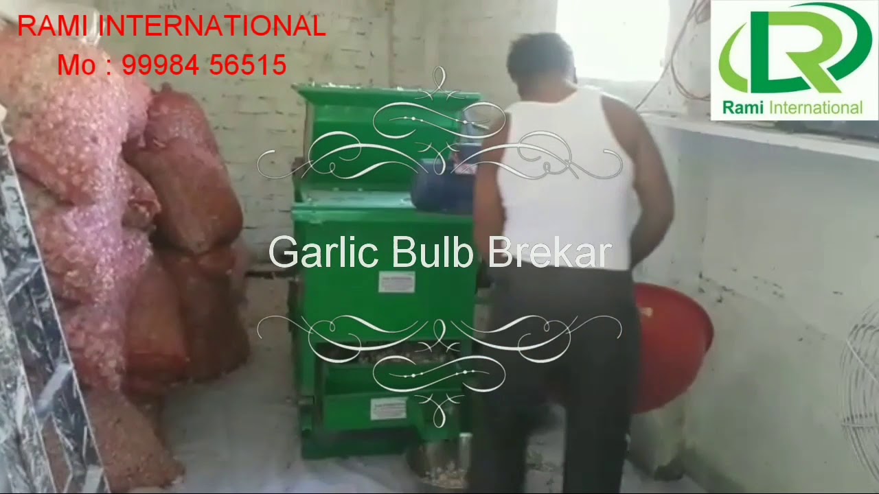 garlic bulb breaker ( mob : 99984 56515 )