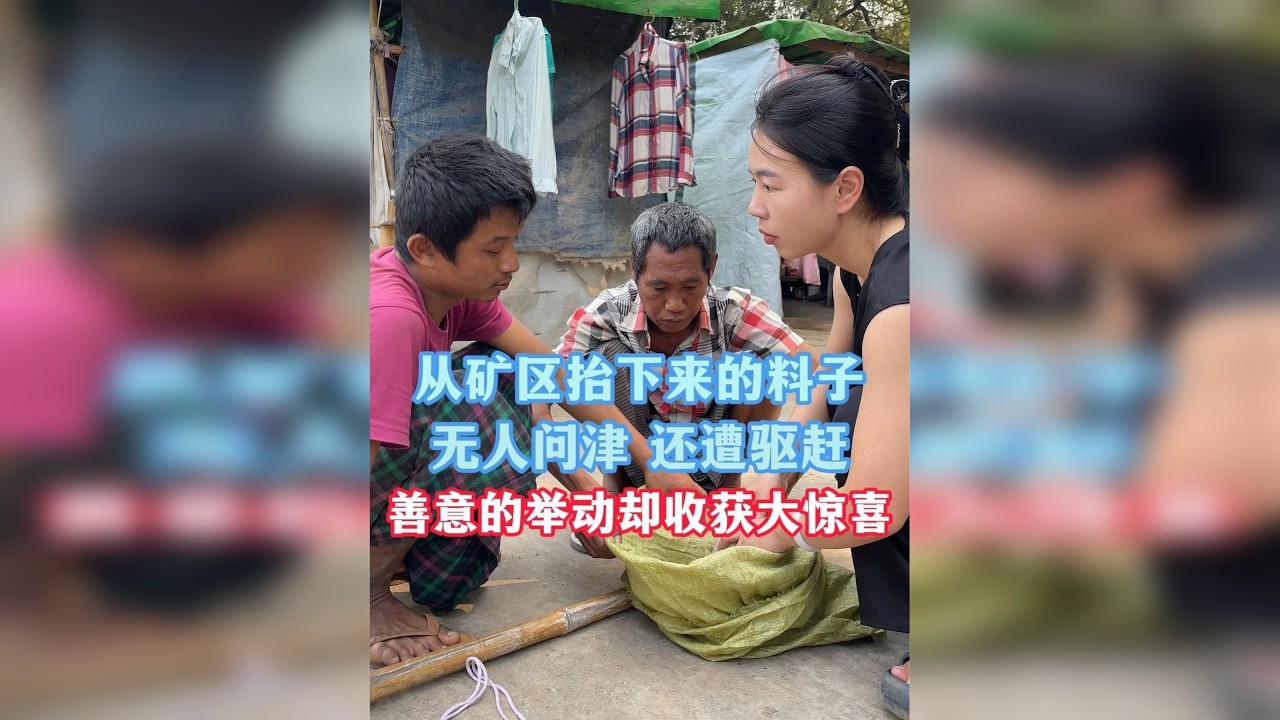 从矿区抬下来的料子，无人问津 还遭驱赶，珍珍善意的举动却收获大惊喜！