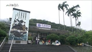 Full 20170521【776】MIT台灣誌 內灣迎春郊 馬胎古道 春花正鬧 News