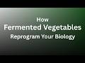 Fermented Vegetables Explained: Gut Health, Immunity & Longevity 🥬🦠
