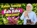 Rahim Temizliği İçin Ballı Baba Mucizesi! #fidanpesen #şifalıbitkiler #rahim