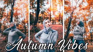 Free Lightroom Mobile Presets DNG - Autumn Vibes Presets