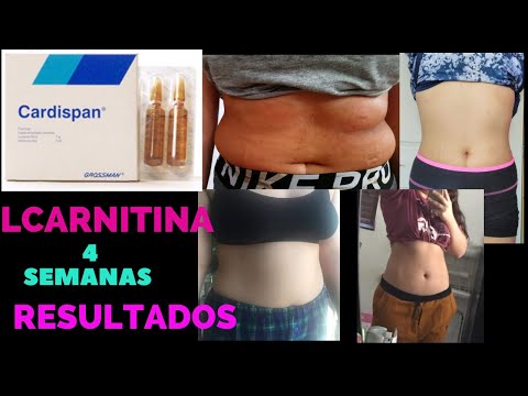 side effects of l carnitine tartrate puedo tomar l carnitina si tengo hipotiroidismo L-Carnitine: Benefits, Side  Effects, FAQ, Sources, and Dosage