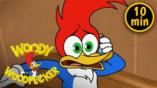 Woody Forgets to Buy a Present For His Nephews | 2 Full Episodes | Woody Woodpecker