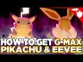 How to Get Gigantamax Pikachu & Eevee in Pokemon Sword and Shield