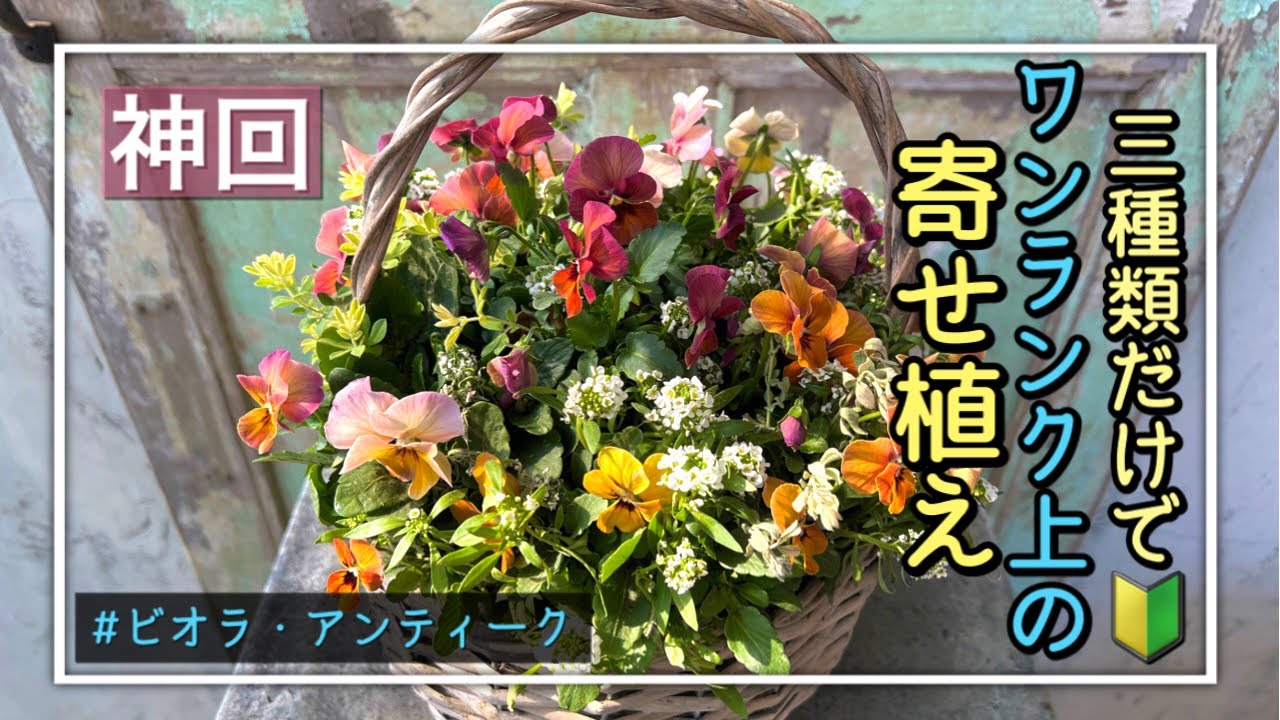 I tried making a simple potted plant using antique violas, but