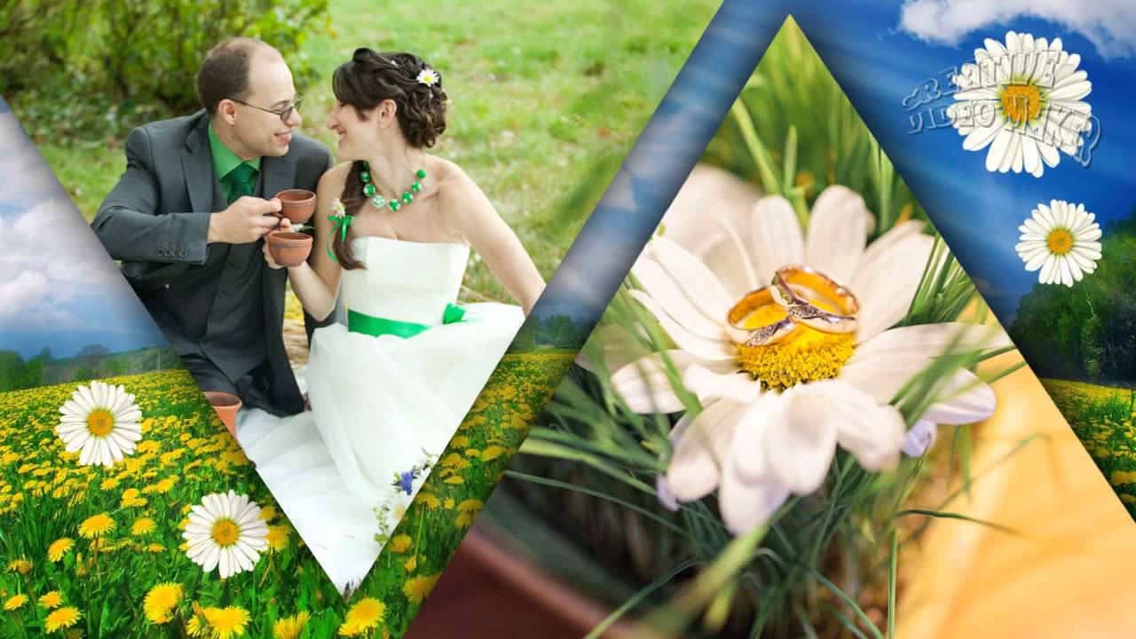 Stylepack Camomile Wedding for Proshow Producer.