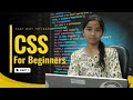 CSS Tutorial for Beginners in Hindi | What is CSS? Full Explanation with Examples (PART-1)