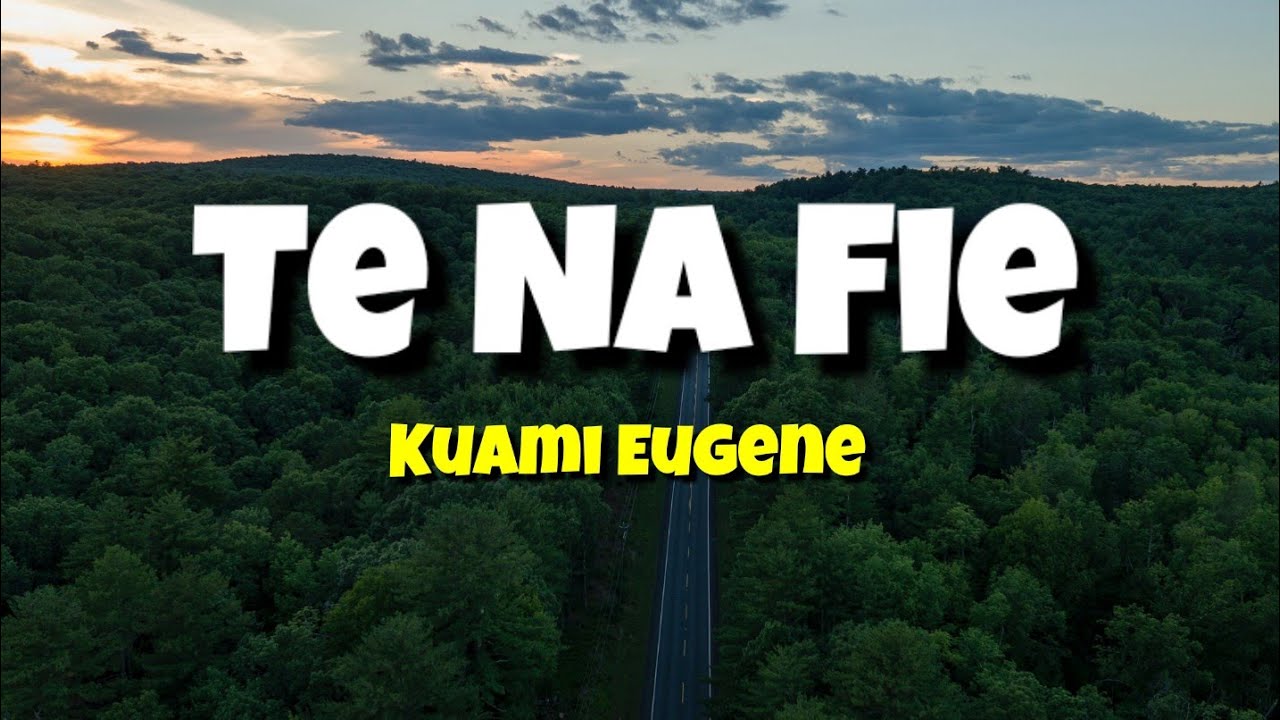 Kuami Eugene ft. Afro Harmony - Te Na Fie ( Lyrics Video + Audio) - YouTube