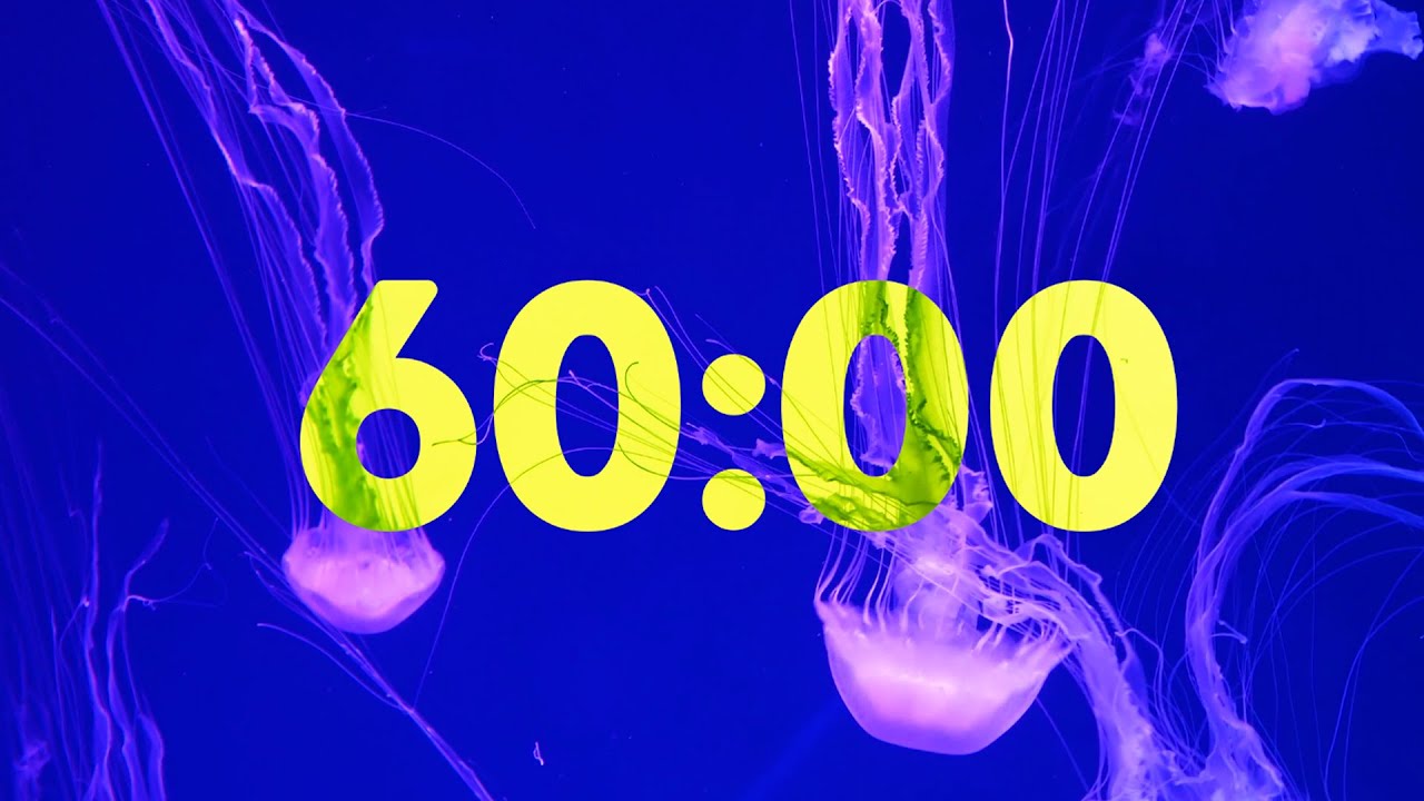 60 Minute Beautiful Jellyfish Timer with Soothing Music YouTube