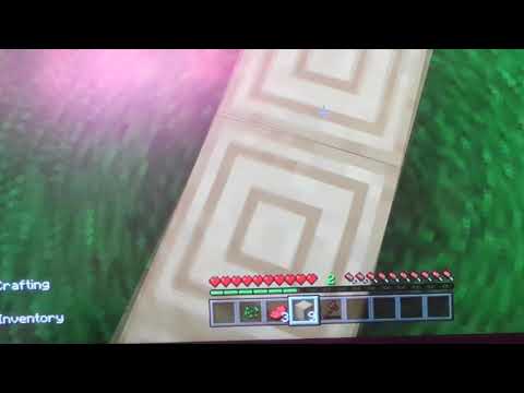 Our new Chicken and Store - YouTube