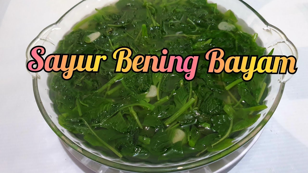 memasak-sayur-bening-bayam-amaranthus-sp-seger-dan-sehat-youtube