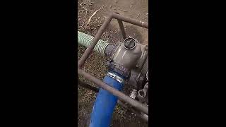 honda wb30xt 5,5cp