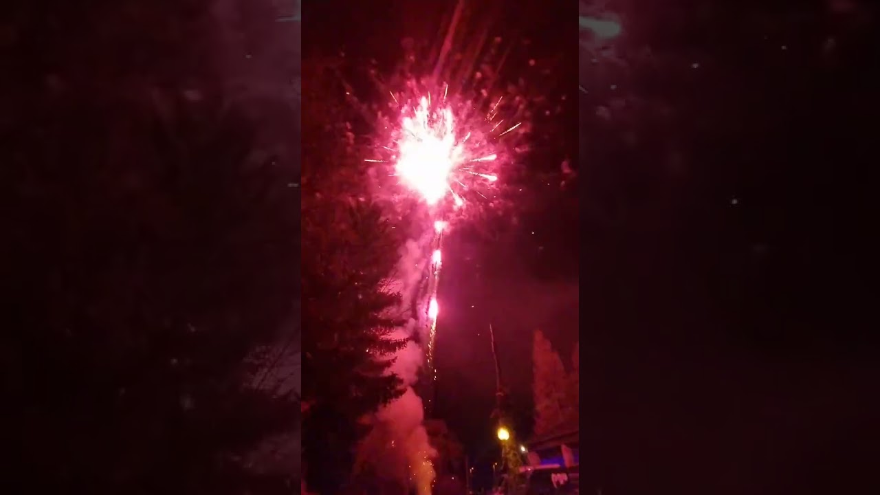 Godny SFCM17100C - ULTRASFACTORY.COM