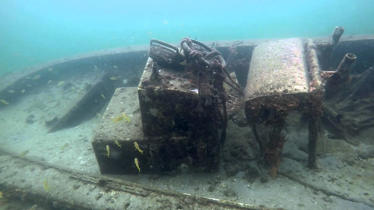 Scuba Diving the Blue Heron Bridge West Palm Beach, Florida YouTube