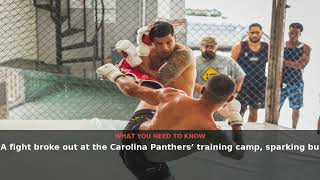 Panthers Training Camp Brawl Draws Attention | August 2026 | NewsDrop