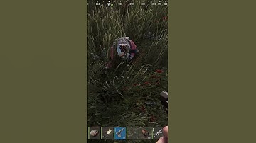 Rust gameplay, quick snowball on wipe day. P2 to Ak #rustgame #playrust #rust #rustрейд #gaming