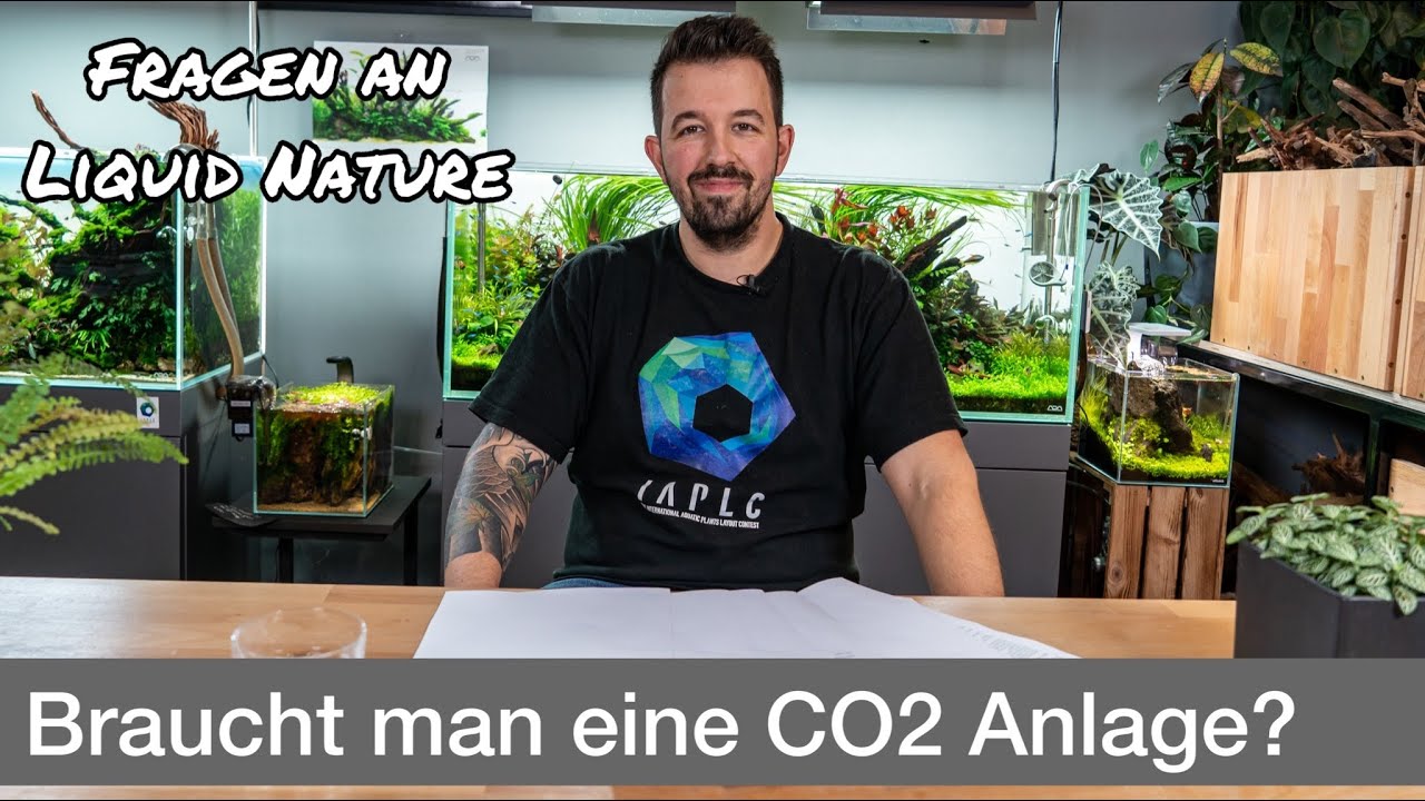 ➜ CO2-Anlage im Aquarium Grundlagen: das solltest Du wissen!