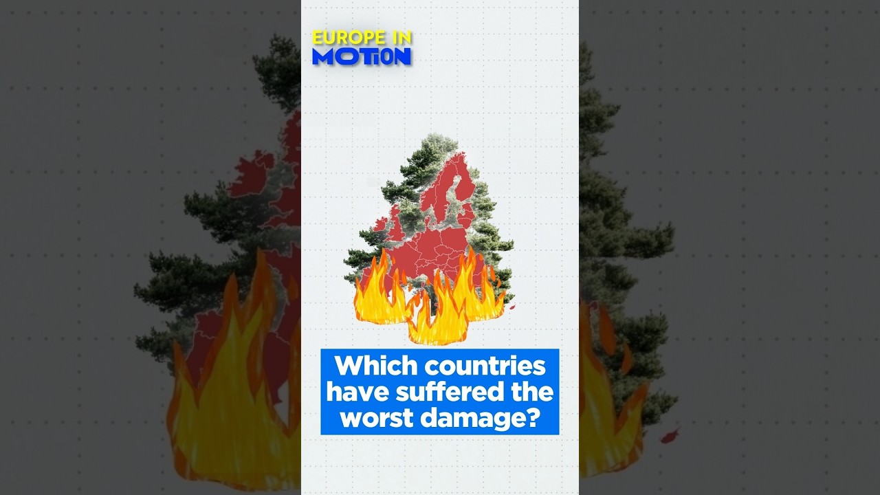 Europe's Wildfires In Numbers