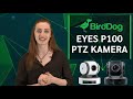BirdDog P100 PTZ Kamera İncelemesi | BirdDog Hakkında Herşey #ptzcameras #birddogp100