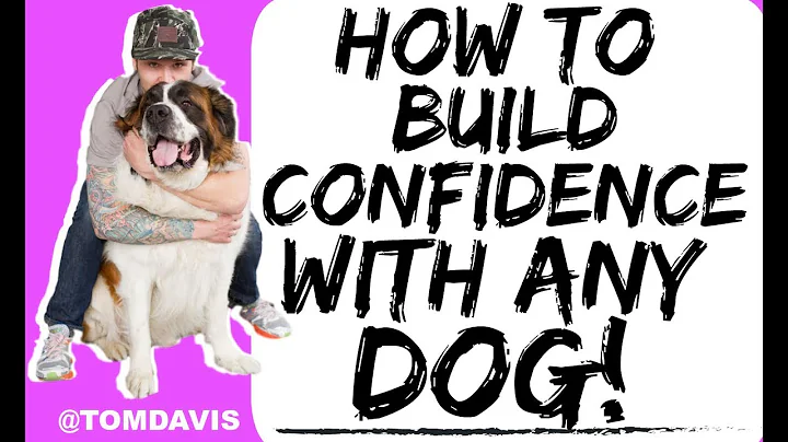 How to Build Confidence in Your Dog or Fearful Dog! - Training with Americas Canine Educator