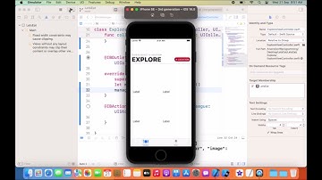 15. Getting Data into Collection Views