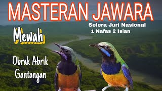 Download Lagu CUCAK CUNGKOK 1 NAFAS 2 LAGU📍Auto Bahaya Murai Batu !!! Kuntilanak vs Cililin MP3