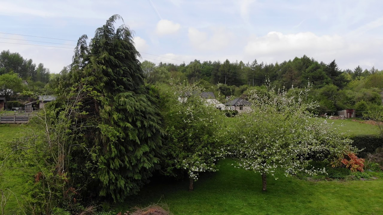 LumaFusion Position and Zoom Experiment