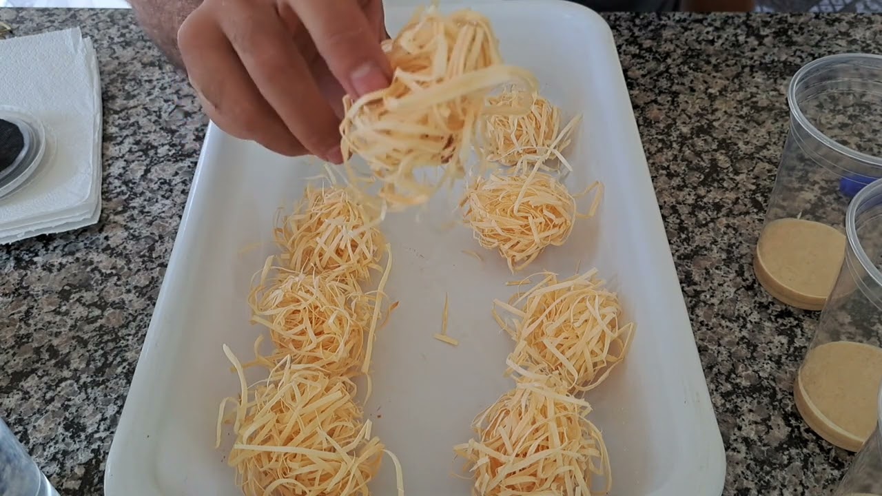 novo meio de cultura para mosca drosophila