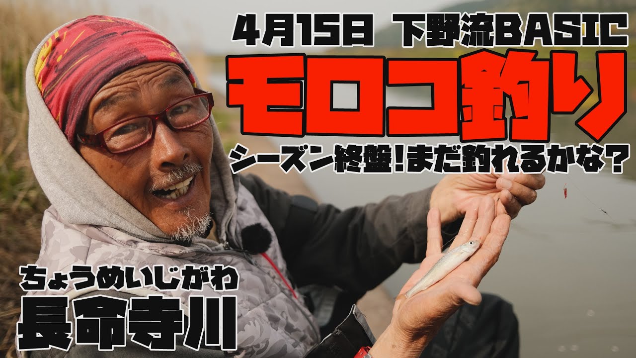長命寺川モロコ釣り　4月15日【下野流BASIC】