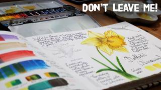 Beginner resists abandoning a painting of daffodil. Nature journal watercolor botanical illustration