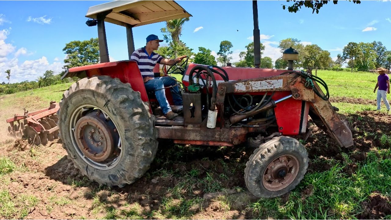 Meu pai Adão gradeando a terra para o plantio
