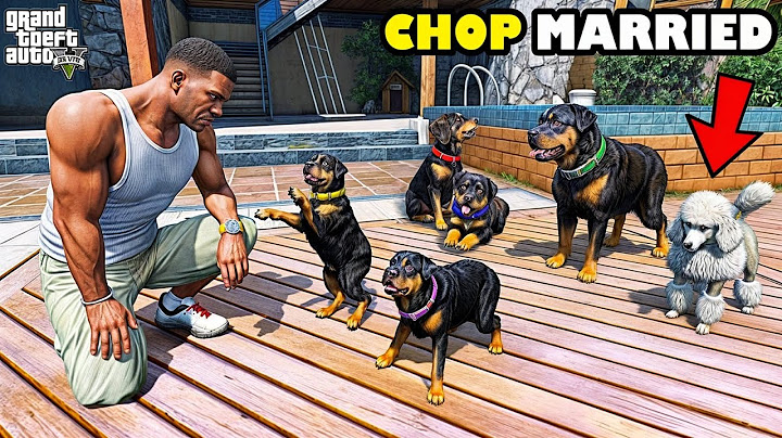 Shinchan & Franklin Found Chop's Secret Marriage And Puppies In GTA 5