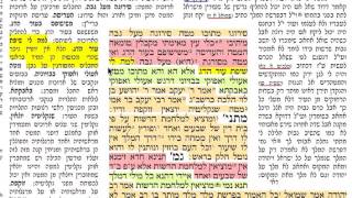 דף יומי סנהדרין דף כ׳ 20 שבת י״ג אב תשע״ז להצלחת עמיהוד נבון בן שמואל