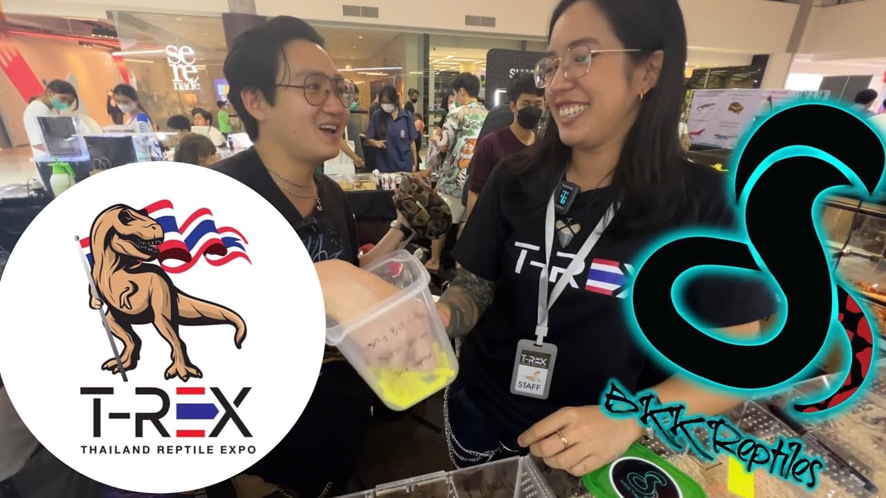 BKK Reptiles แจกงูฟรีที่งาน T Rex Thailand Reptile Expo 2022 