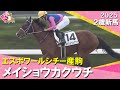 メイショウカクウチが2秒5差の圧勝V!菱田騎手「実力を遺憾なく発揮してくれた」2025年11月2日(日)2歳新馬 京都ダート1400m 実況:服部優陽【カンテレ公式】