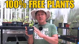 This Lady Gives Away FREE Vegetables that thrive in Florida