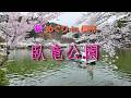 桜めぐり🌸春の旅 in 信州　「臥竜公園の桜」