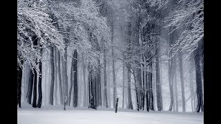 Can Exercising In The Cold Freeze Your Lungs?