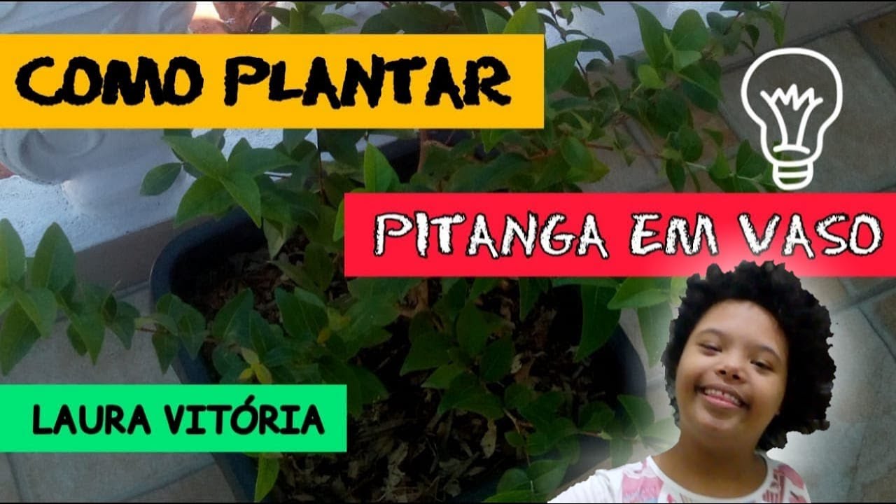 Como plantar pitanga em vaso! (semente) @hortadalaura - YouTube