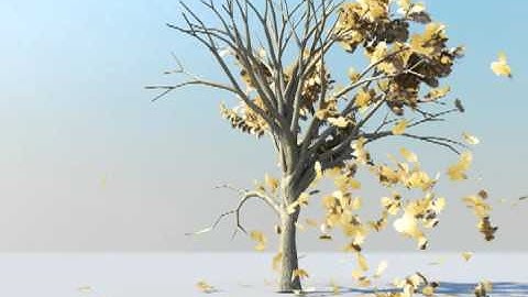 Maya ncloth test Tree