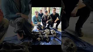 Bebê Mamute Congelado