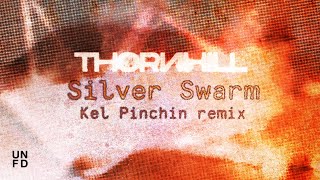 Thornhill - Silver Swarm (Kel Pinchin remix)