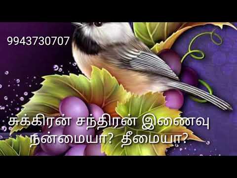 சுக்கிரன் சந்திரன் இணைவு நன்மையா? தீமையா? / #9943730707