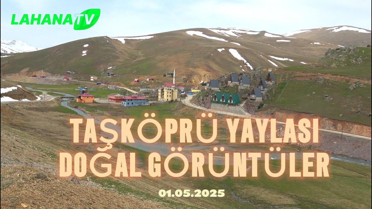 🌲 Gümüşhane Taşköprü Yaylası'ndan Büyüleyici Doğa Manzaraları