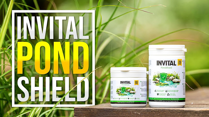 INVITAL PondShield - termék a tóban található fonalas algák ellen