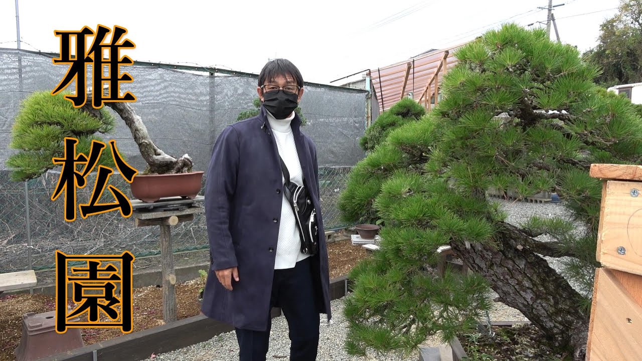 小品盆栽日本一　雅松園