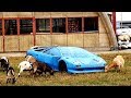 क्यों खुले मैं सड़ने के लिए छोड़ दी गयी ये महंगी कारे | Most EXPENSIVE and EXCLUSIVE abandoned CARS