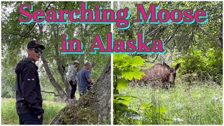 SEARCHiNG FOR A MOOSE IN ALASKA ??