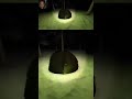 where did he come from?